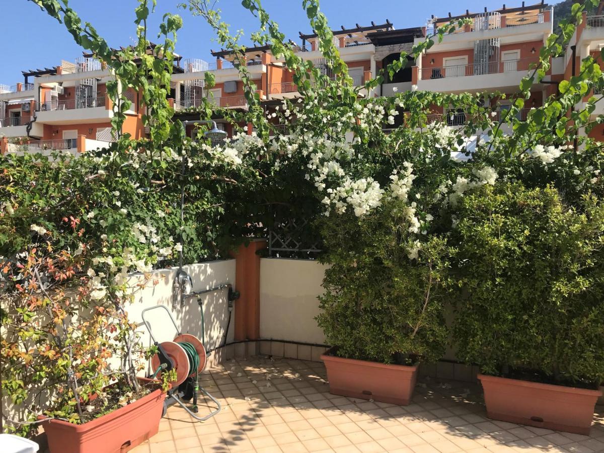 Appartamento Casa Norvegese Pizzo  Esterno foto